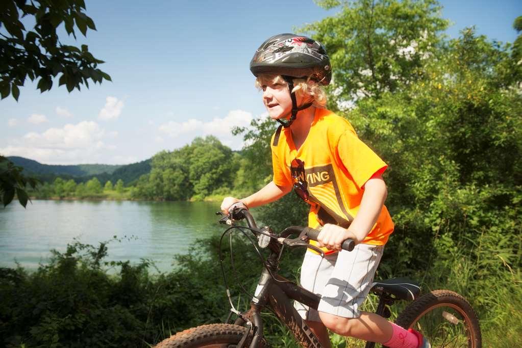 Stonewall Resort Roanoke Tiện nghi bức ảnh